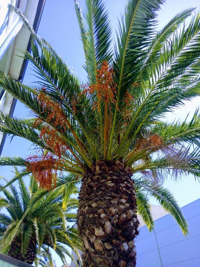 Fasthotel Περπινιάν Εξωτερικό φωτογραφία
